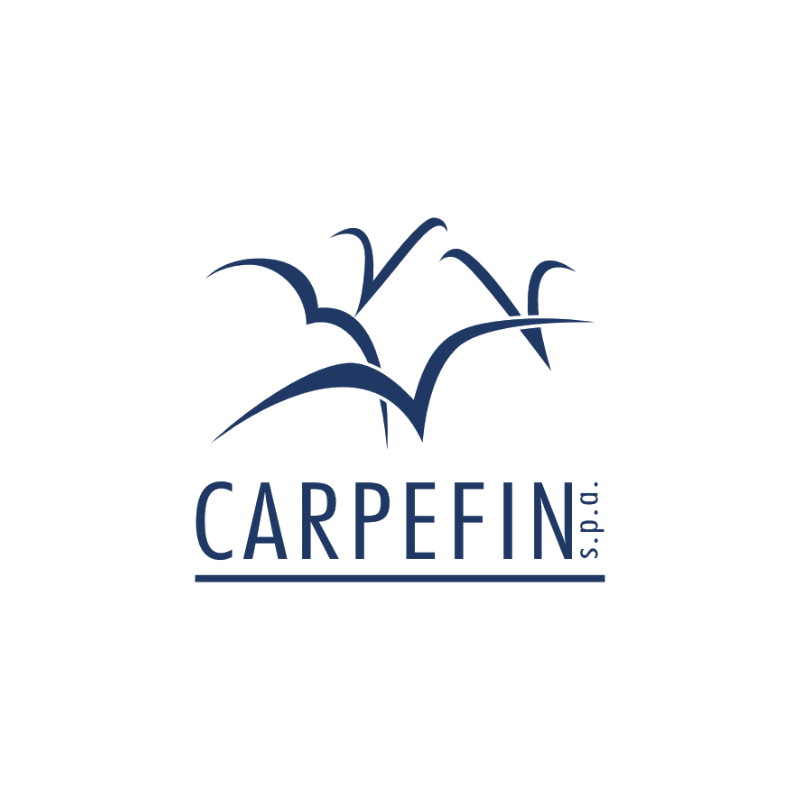 Carpefin logo 800x800 Petrone Group